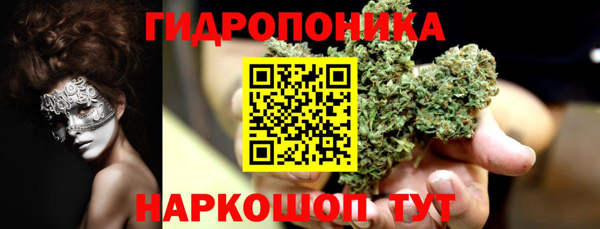 Шишки марихуана сатива Екатеринбург